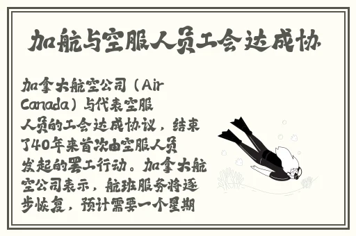 开局姐姐的美白蚌埠